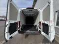 Ford Transit Transit Kasten 2,0 EcoBlue L2H2 350 Trend Weiß - thumbnail 5