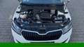 Skoda Fabia Combi Active*Klima*LED*DAB*S-Hf*HU&Öl Neu* Wit - thumbnail 18