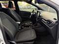 Ford Fiesta Fiesta 1.0 EcoBoost -  ST-Line + Radars AR + CarePlay Blanc - thumbnail 12