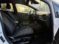 Ford Fiesta Fiesta 1.0 EcoBoost -  ST-Line + Radars AR + CarePlay Blanc - thumbnail 35