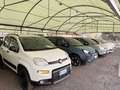 Fiat Panda Panda 1.2 easypower Cross Gpl s Blau - thumbnail 22