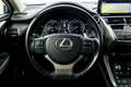 Lexus NX 300 300h Executive 4WD Silber - thumbnail 20