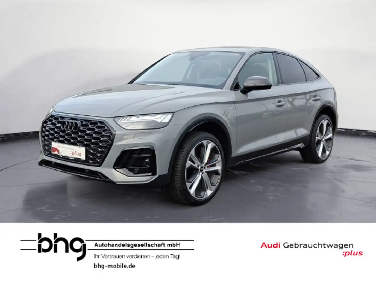 Audi Q5 40TDI quattro S tronic S line Sport Grau - 1