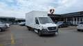 Mercedes-Benz Sprinter 316 Koffer 3-Sitzer Aut. *mit Hebebühne*K Weiß - thumbnail 3