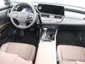 Lexus ES 300 300h Business Line | Premium Navigatiesysteem | St Grün - thumbnail 29