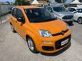 Fiat New Panda 1.0 FireFly S&S Hybrid 5 posti Arancione - thumbnail 2