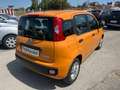 Fiat New Panda 1.0 FireFly S&S Hybrid 5 posti Arancione - thumbnail 3