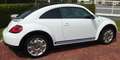 Volkswagen Beetle Beetle 2.0 TSI DSG*R-Line*Panorama*TOP Zustand Weiß - thumbnail 2
