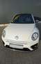 Volkswagen Beetle Beetle 2.0 TSI DSG*R-Line*Panorama*TOP Zustand White - thumbnail 3