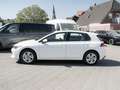 Volkswagen Golf VIII 1.5TSi Life R-Kamera ACC SideAssist LED Sitzh Weiß - thumbnail 7
