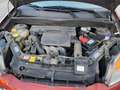 Ford Fusion Plus Rot - thumbnail 16
