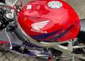 Honda CBR 900 SC 33 Rot - thumbnail 8