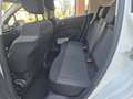 Citroen C3 1.2 puretech Shine s&s 83cv Weiß - thumbnail 12