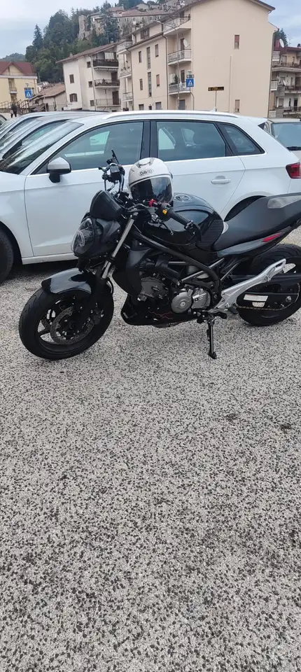 Suzuki Gladius 650
