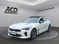 Kia Stinger STINGER 3.3T AWD AT8 GT |GLASDACH|VOLLAUSSTATTUNG| Weiß - thumbnail 1