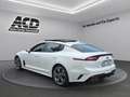 Kia Stinger STINGER 3.3T AWD AT8 GT |GLASDACH|VOLLAUSSTATTUNG| Weiß - thumbnail 8
