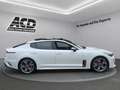 Kia Stinger STINGER 3.3T AWD AT8 GT |GLASDACH|VOLLAUSSTATTUNG| Weiß - thumbnail 4