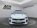 Kia Stinger STINGER 3.3T AWD AT8 GT |GLASDACH|VOLLAUSSTATTUNG| Weiß - thumbnail 2
