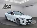 Kia Stinger STINGER 3.3T AWD AT8 GT |GLASDACH|VOLLAUSSTATTUNG| Weiß - thumbnail 3