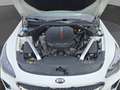 Kia Stinger STINGER 3.3T AWD AT8 GT |GLASDACH|VOLLAUSSTATTUNG| Weiß - thumbnail 22