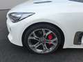 Kia Stinger STINGER 3.3T AWD AT8 GT |GLASDACH|VOLLAUSSTATTUNG| Weiß - thumbnail 23