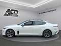 Kia Stinger STINGER 3.3T AWD AT8 GT |GLASDACH|VOLLAUSSTATTUNG| Weiß - thumbnail 9