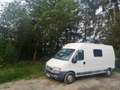 Fiat Ducato Fiat Ducato 15 2.8 JTD Weiß - thumbnail 15
