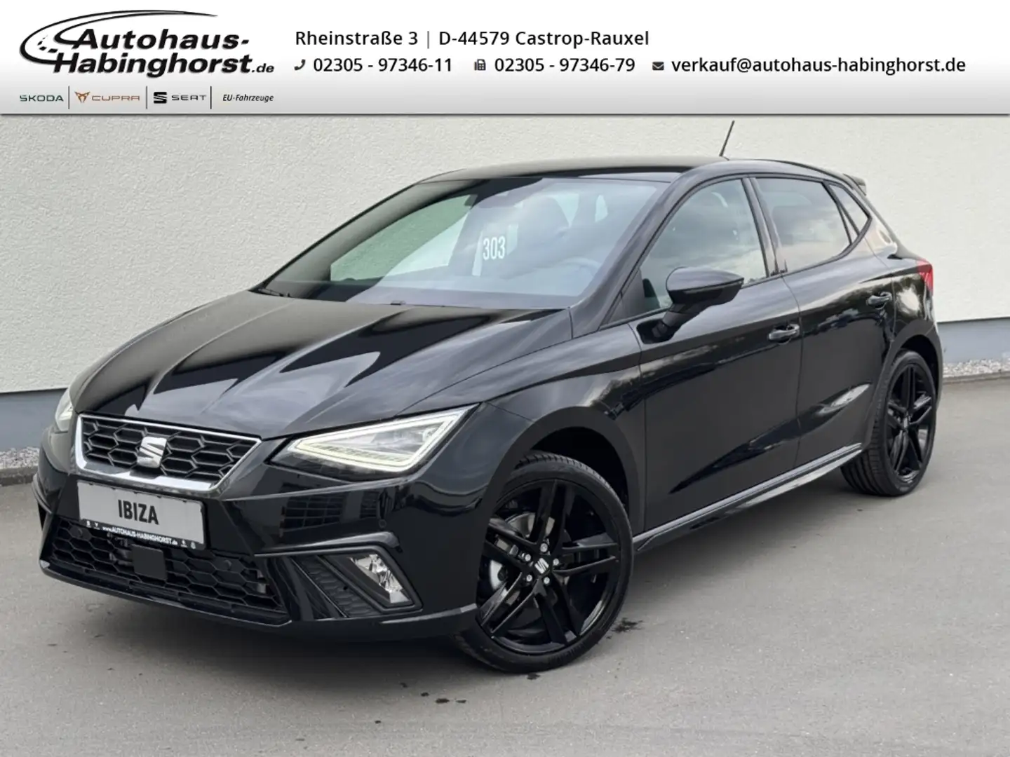 SEAT Ibiza 1.0 TSI DSG FR Black Edition Navi PDC SideAssist L Schwarz - 1