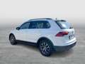 Volkswagen Tiguan Comfortline TSI Weiß - thumbnail 3