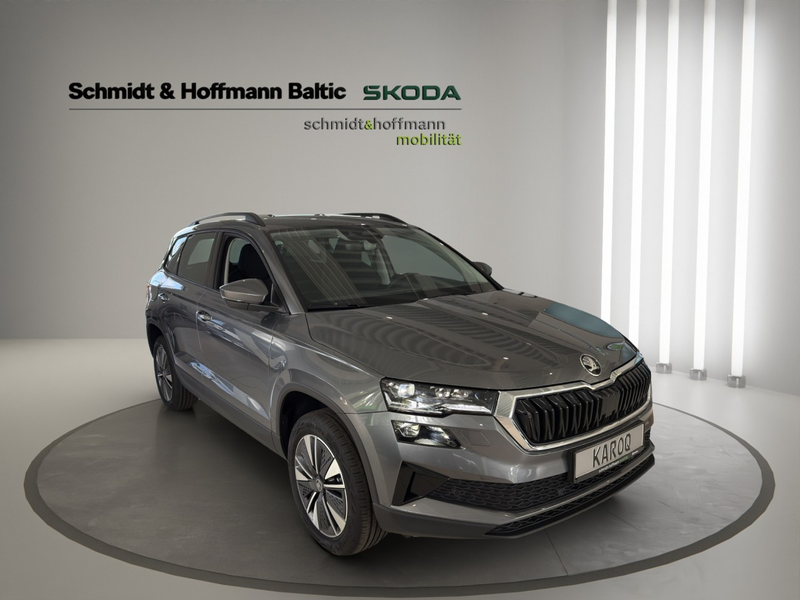 Skoda Karoq Balance Klima Rückfahrkamera Sitzheizung — photo 8