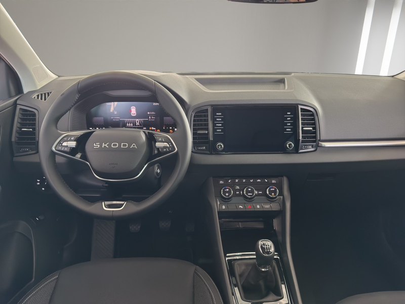 Skoda Karoq Balance Klima Rückfahrkamera Sitzheizung — photo 14