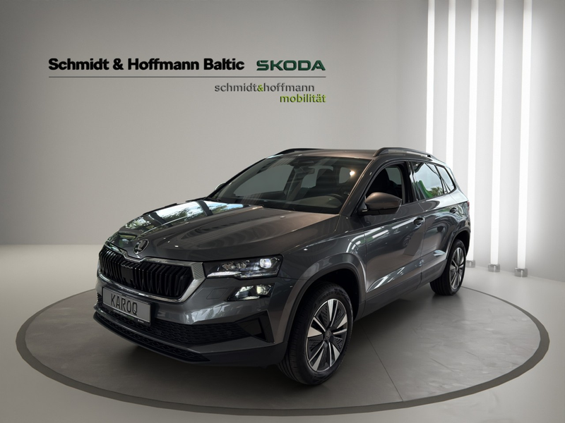 Skoda Karoq Balance Klima Rückfahrkamera Sitzheizung