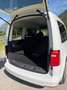 Volkswagen Caddy Caddy Austria TSI Weiß - thumbnail 10