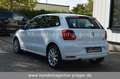 Volkswagen Polo V Highline Sitzhzg 2.Hand VW Scheckheft Weiß - thumbnail 5