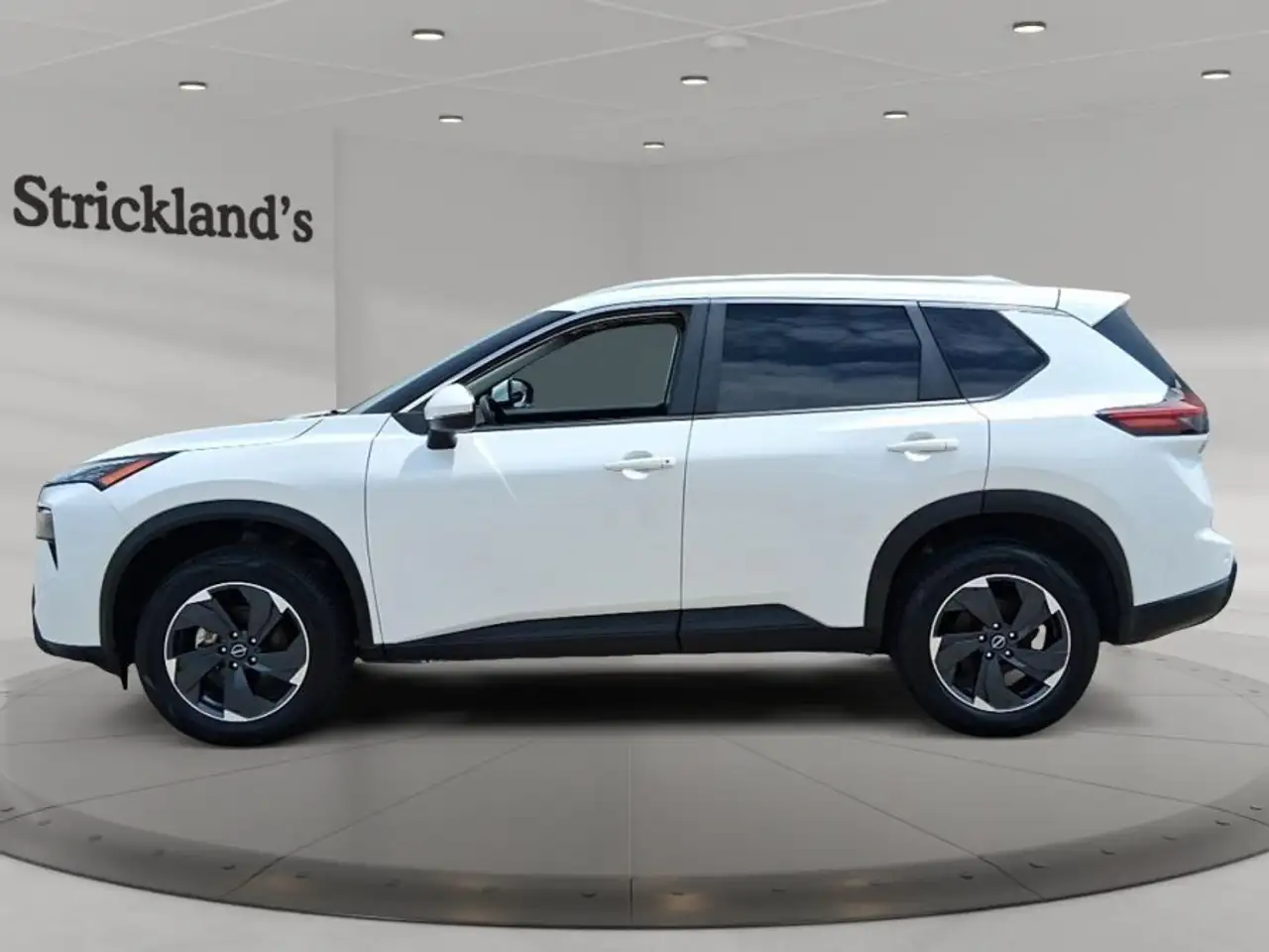 Nissan Rogue fotografie Nissan Rogue