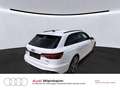 Audi A4 40 TFSI Edition S-Line competition-plus Weiß - thumbnail 6