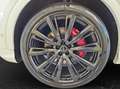 Audi Q8 55 TFSI e tiptronic quattro S-line NaviPlus Mat... White - thumbnail 5