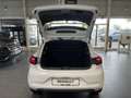 Renault Clio Equilibre SCe 65 Weiß - thumbnail 22