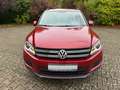 Volkswagen Tiguan 2.0 TDI Trend*KLIMATRONIC*PANORAMA*SHZ*AHK*PDC*BRC Rosso - thumbnail 7