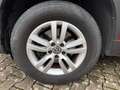 Volkswagen Tiguan 2.0 TDI Trend*KLIMATRONIC*PANORAMA*SHZ*AHK*PDC*BRC Rosso - thumbnail 23