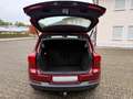 Volkswagen Tiguan 2.0 TDI Trend*KLIMATRONIC*PANORAMA*SHZ*AHK*PDC*BRC Rot - thumbnail 18