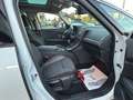 Renault Grand Scenic BLUE 1.7 dCi | Limited Edition | 1 Jaar Garantie Blanc - thumbnail 14
