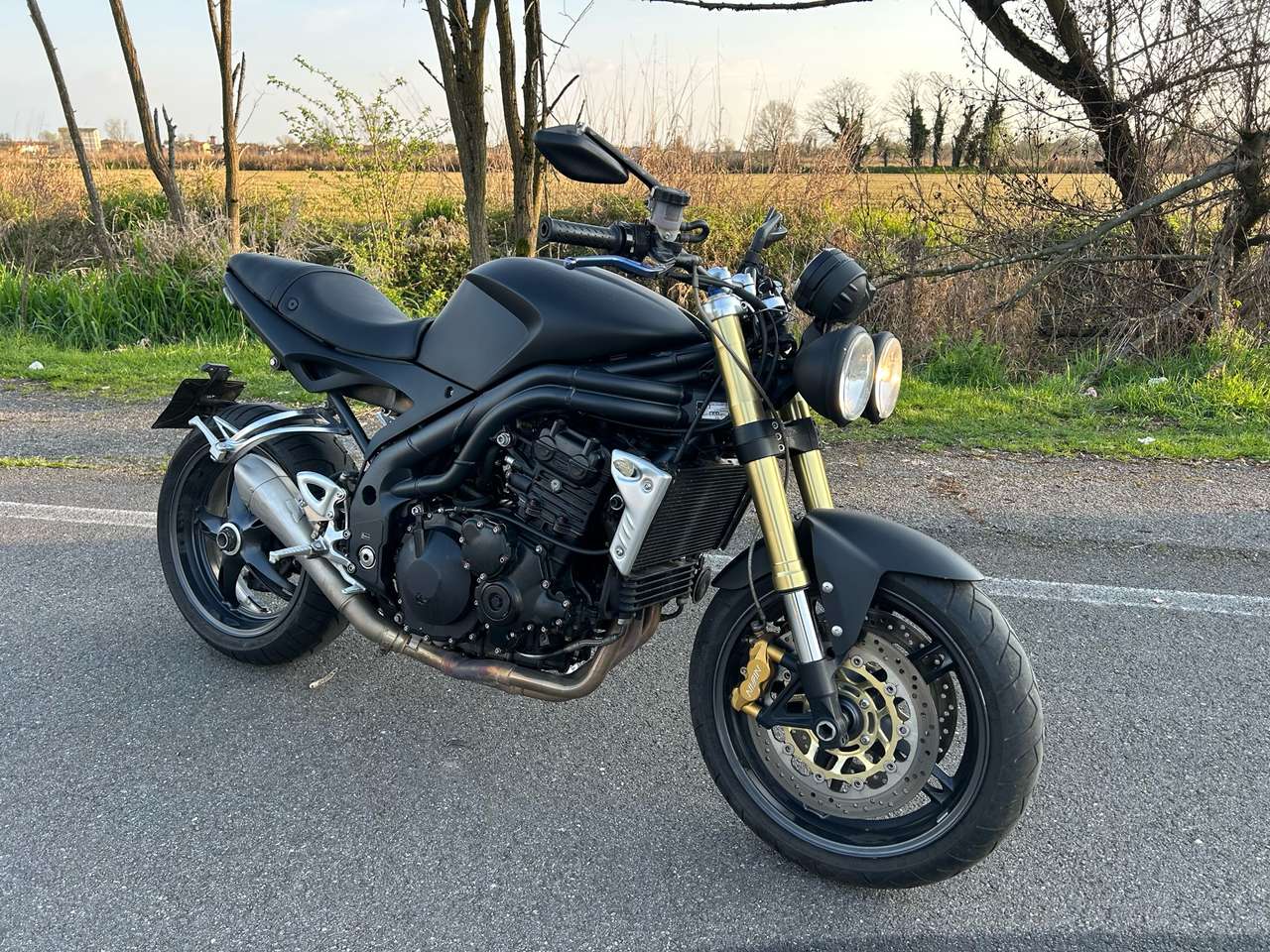 Triumph Speed Triple 1050 2007
