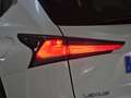 Lexus NX 300 300h Premium 2WD Blanco - thumbnail 30