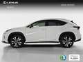 Lexus NX 300 300h Premium 2WD Blanco - thumbnail 3