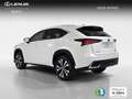 Lexus NX 300 300h Premium 2WD Blanco - thumbnail 4