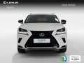 Lexus NX 300 300h Premium 2WD Blanco - thumbnail 2