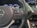 Lexus NX 300 300h Premium 2WD Blanco - thumbnail 16