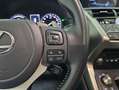 Lexus NX 300 300h Premium 2WD Blanco - thumbnail 16