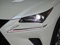 Lexus NX 300 300h Premium 2WD Blanco - thumbnail 29